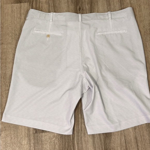 Ben Hogan Golf Performance Flat Front Stretch Gray Blue Striped Shorts - Picture 3 of 9